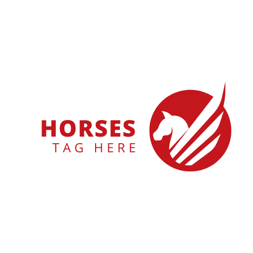 Horse Accessories Store